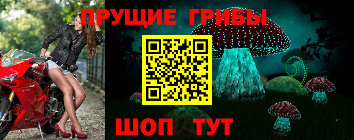 Якутск  Псилоцибиновые грибы мицелий  Псилоцибиновые грибы Cubensis  Вход с VPN 