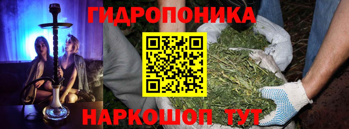 Бошки марихуана Ganja Якутск